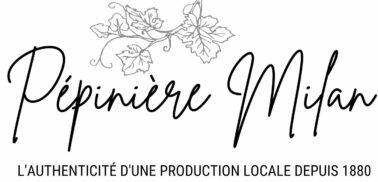 Pépinière Milan